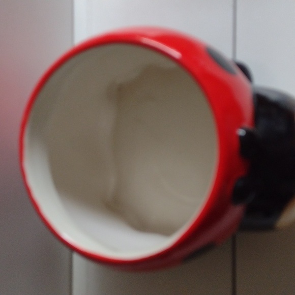 Two Planters Lady Bug & Orange cacti planter - Picture 5 of 6